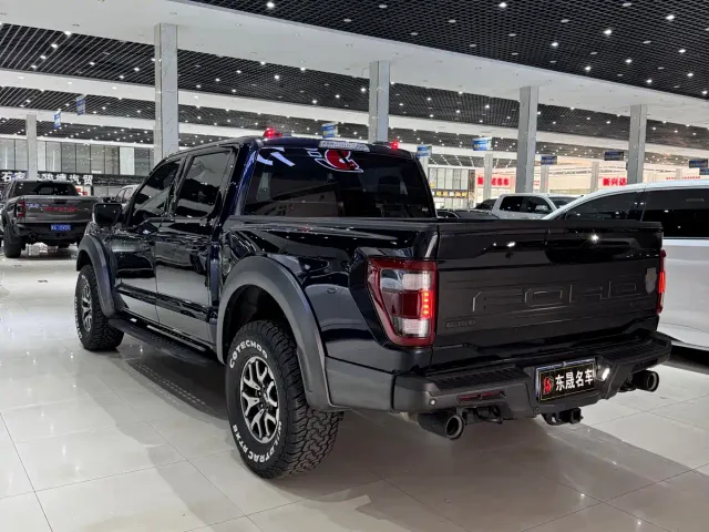Ford F-150 Raptor — Фото автомобиля 7