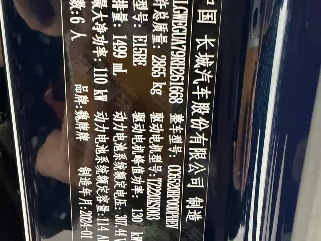 WEY Wey Lanshan 2023 2WD Long Range Edition — Фото автомобиля 11