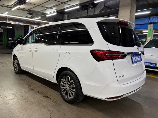 Buick GL8 — Фото автомобиля 6