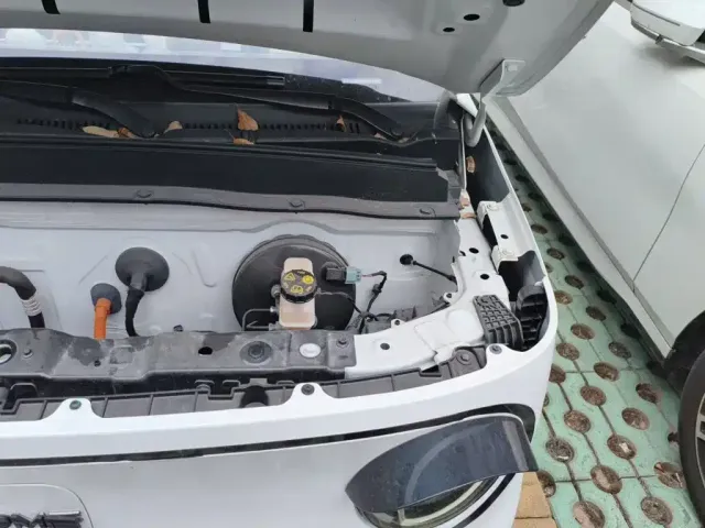 Geely Galaxy Panda 2024 Facelift Panda mini 200km Dragon Edition — Фото автомобиля 22