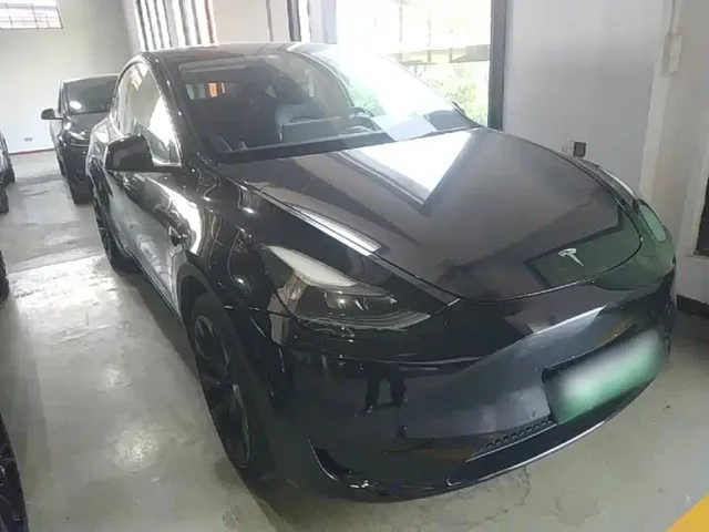 Tesla Model Y — Фото автомобиля 3