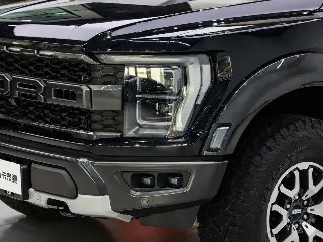 Ford F-150 Raptor — Фото автомобиля 8