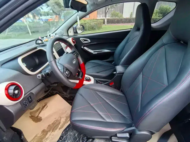QQ New Energy Little Ant 2023 251km True Love Edition LFP — Фото автомобиля 11