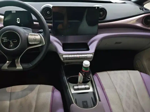 BYD Dolphin — Фото автомобиля 13