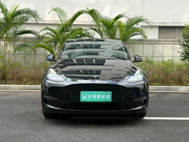 Tesla Model Y — Фото автомобиля 2