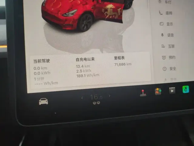 Tesla Model Y — Фото автомобиля 11