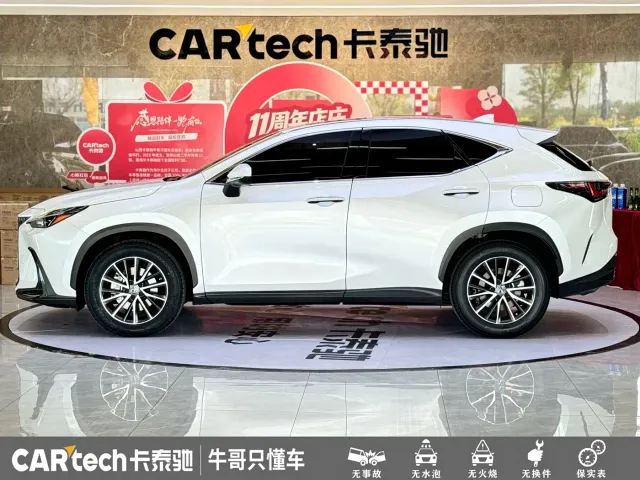 Lexus NX — Фото автомобиля 24