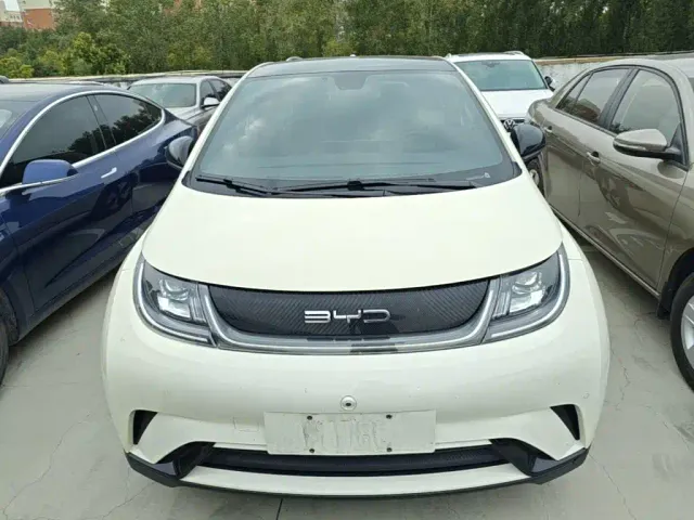 BYD Dolphin — Фото автомобиля 2
