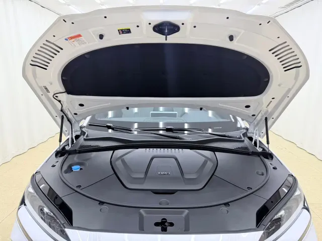 BYD Song PLUS — Фото автомобиля 19