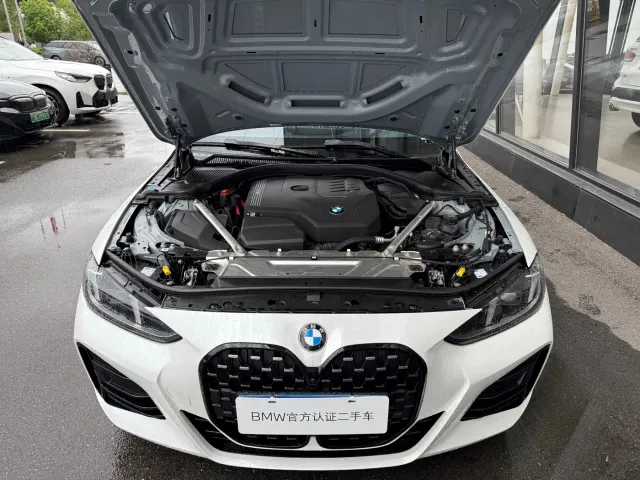 BMW 4 Series — Фото автомобиля 11