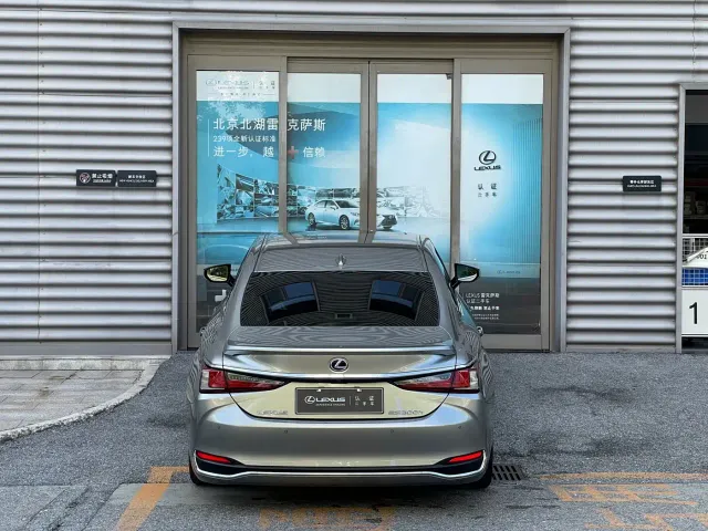 Lexus Lexus ES 2021 300h Luxury Edition — Фото автомобиля 8