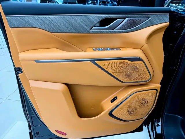 Wey Alpine — Фото автомобиля 9