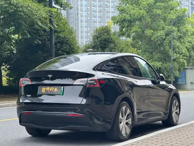 Tesla Model Y — Фото автомобиля 19