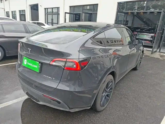 Tesla Model Y — Фото автомобиля 6