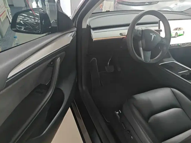 Tesla Model Y — Фото автомобиля 15
