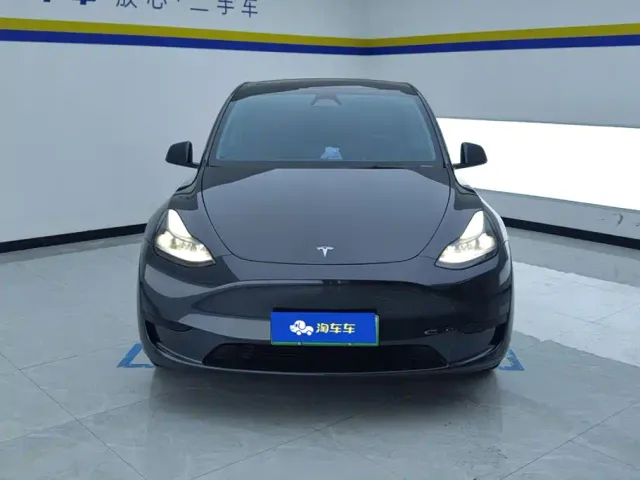 Tesla Model Y — Фото автомобиля 2