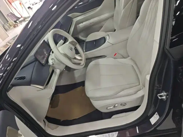 Buick Electra L7 — Фото автомобиля 10