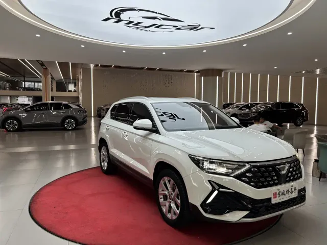 Jetta VS5 — Фото автомобиля 3