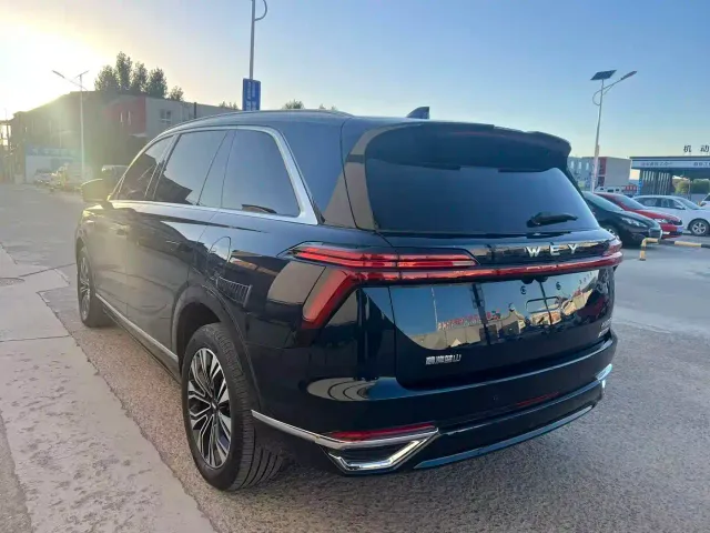Wey Lanshan — Фото автомобиля 13