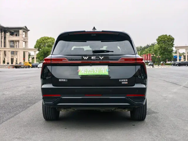 Wey Lanshan — Фото автомобиля 6