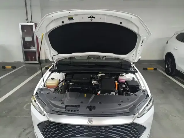 BYD Qin PLUS 2024 Glory Edition DM-i 55KM Leading — Фото автомобиля 19
