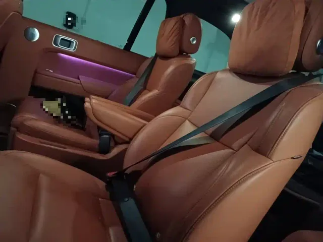 Li Auto L9 — Фото автомобиля 14