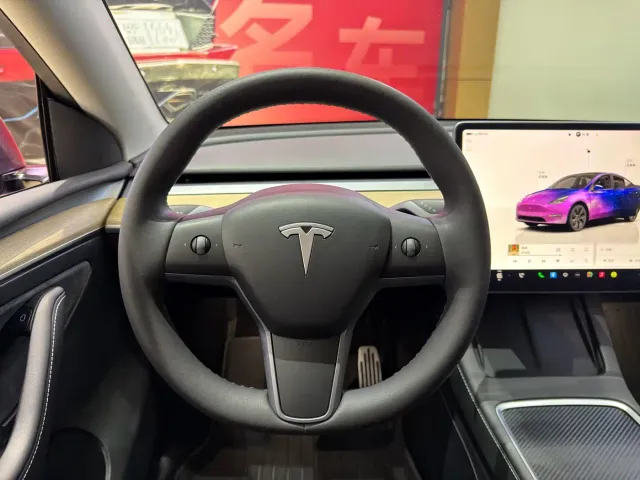 Tesla Model Y — Фото автомобиля 10