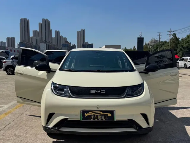 BYD Dolphin — Фото автомобиля 15