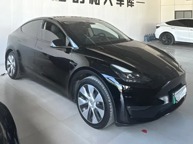 Tesla Model Y 2021 Standard Range Rear-Wheel Drive — Фото автомобиля 9