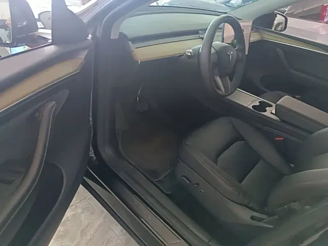 Tesla Model Y — Фото автомобиля 15
