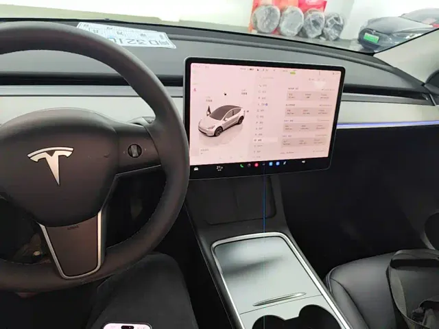 Tesla Model Y — Фото автомобиля 9