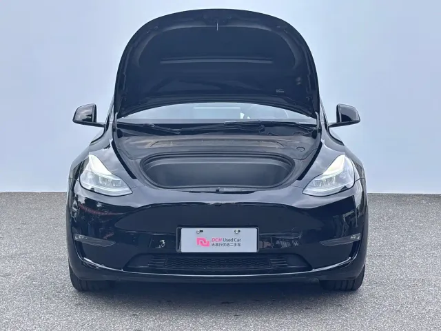 Tesla Model Y — Фото автомобиля 7