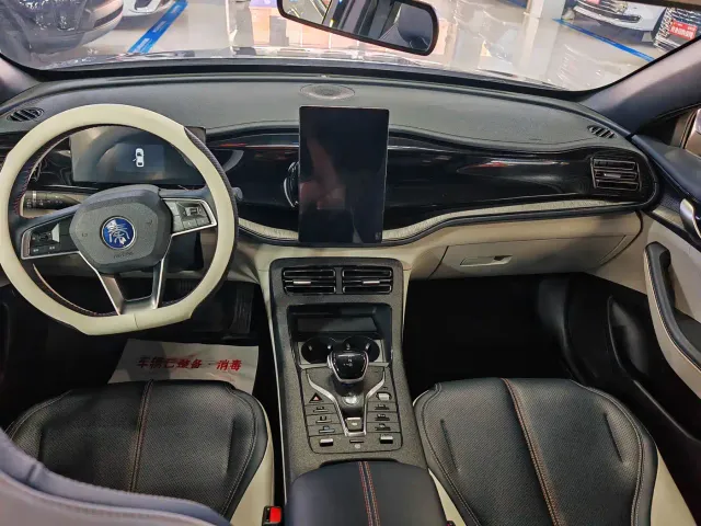 BYD Qin PLUS — Фото автомобиля 6