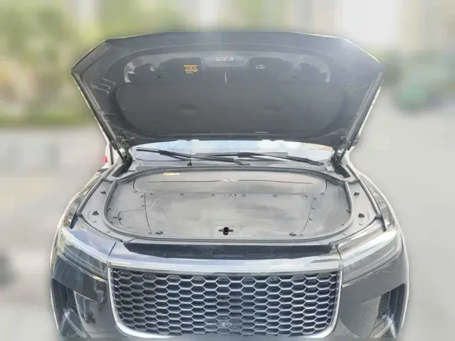 Li Auto Li ONE 2021 Extended Range 6-Seater — Фото автомобиля 3