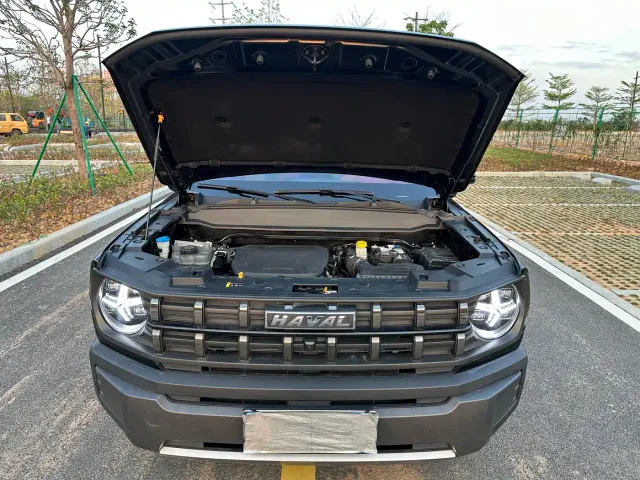 Haval Cool Dog — Фото автомобиля 5