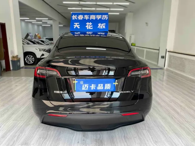 Tesla Model Y — Фото автомобиля 4