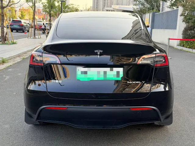 Tesla Model Y — Фото автомобиля 6