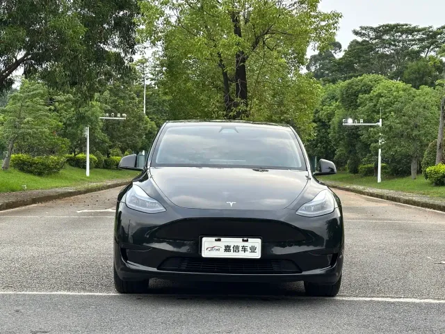 Tesla Model Y — Фото автомобиля 2