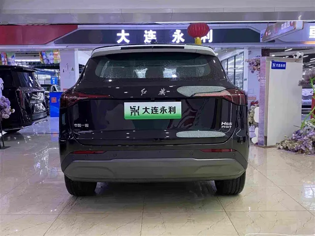 Hongqi HS6 PHEV — Фото автомобиля 16