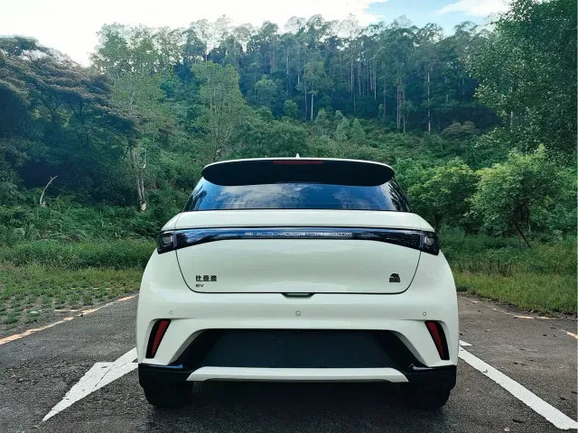 BYD Dolphin — Фото автомобиля 8