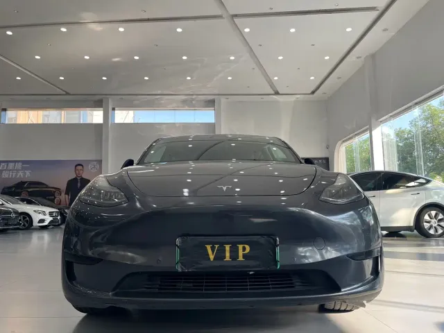 Tesla Model Y — Фото автомобиля 2