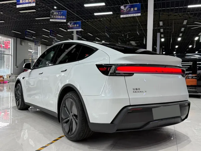 Tesla Model Y — Фото автомобиля 3