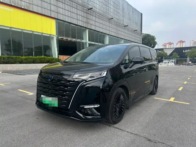 Фотография автомобиля — Denza D9