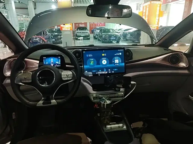 BYD Dolphin — Фото автомобиля 9