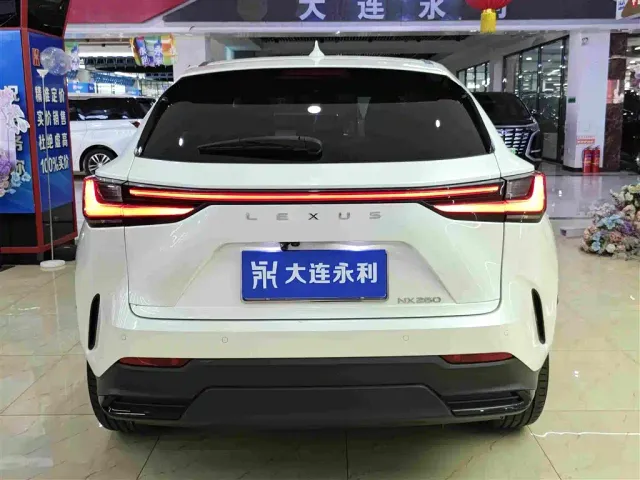 Lexus NX — Фото автомобиля 13