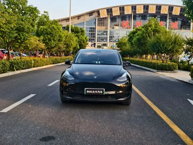 Tesla Model Y — Фото автомобиля 2
