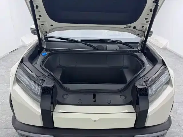 BYD FangChengBao Titanium 3 — Фото автомобиля 10