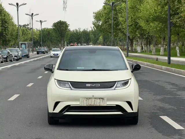 BYD Dolphin — Фото автомобиля 2