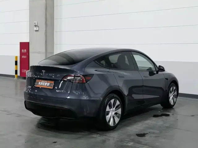 Tesla Model Y — Фото автомобиля 2