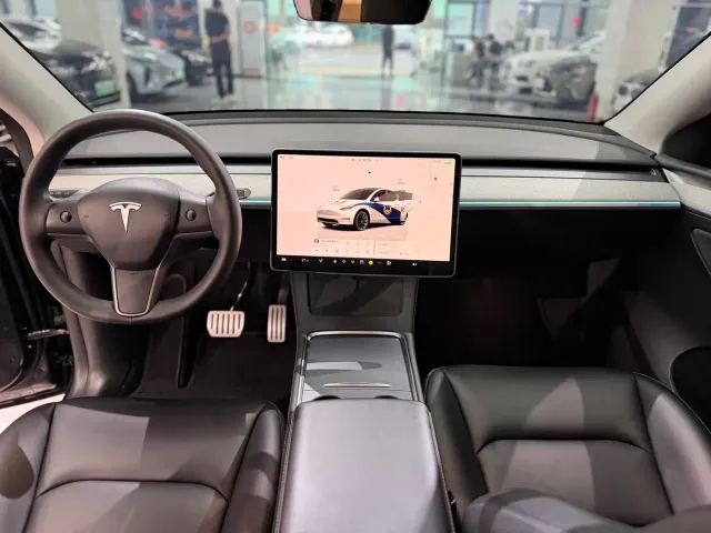 Tesla Model Y — Фото автомобиля 9